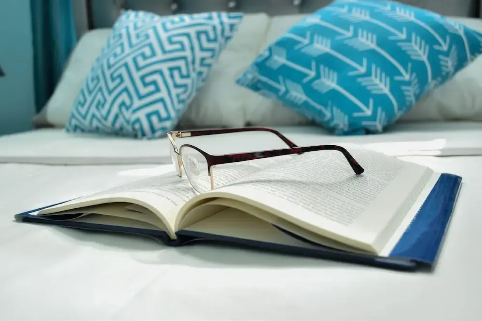 Delux Caribbean Estate Guest Apartment