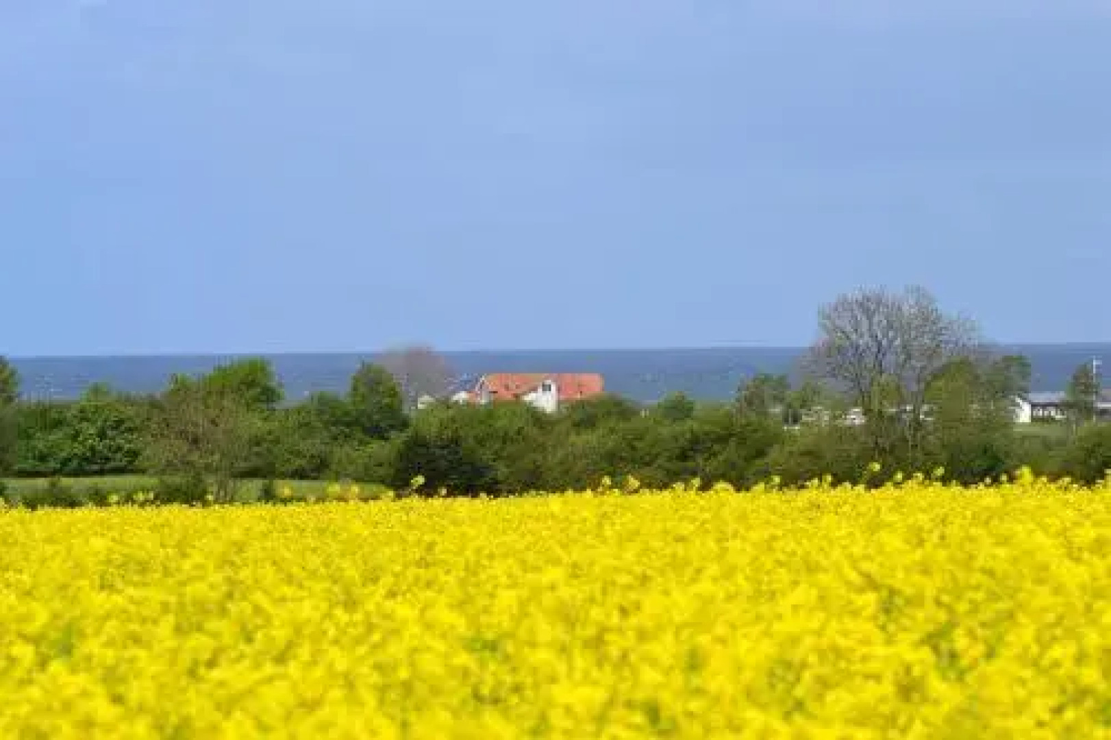 Steiner Strandappartements Appartement 304 Seeseite