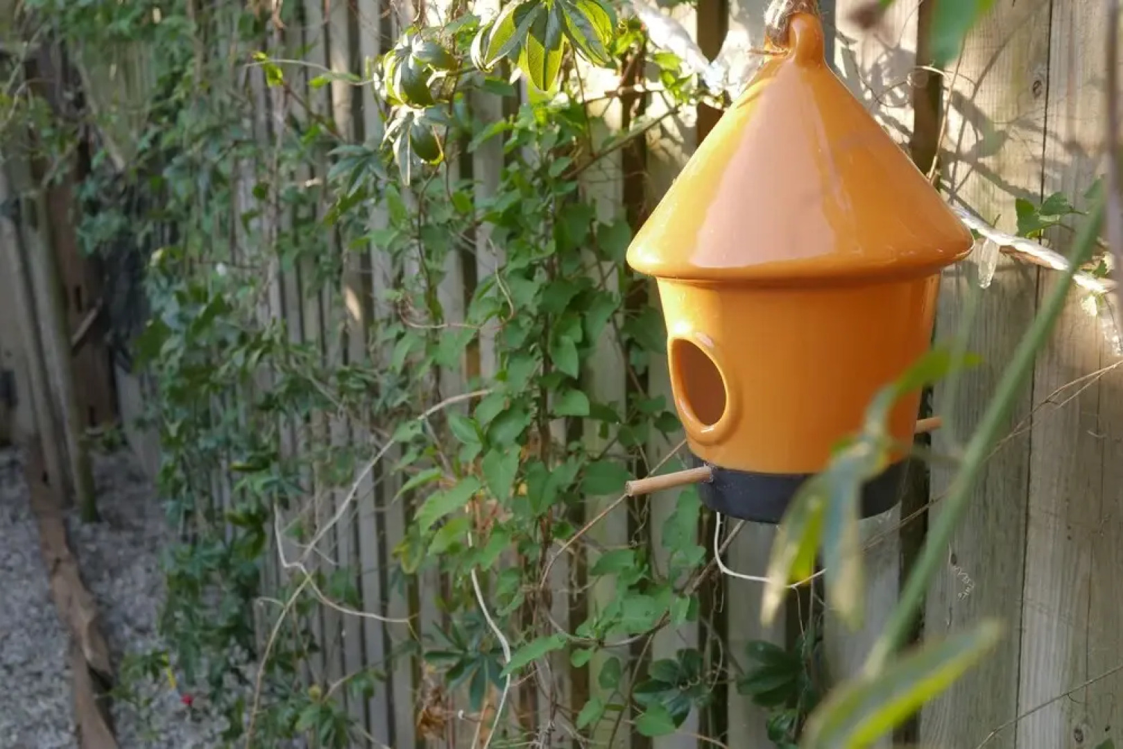 Seaside House in Camber