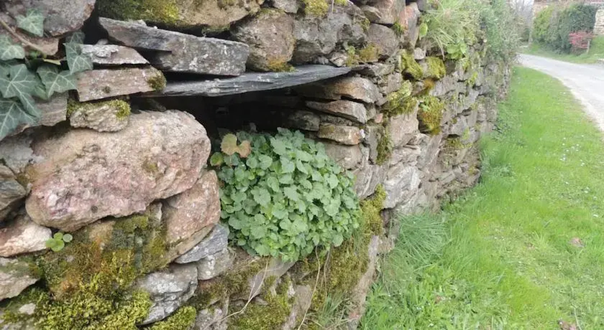 Roulotte La Cardelinha