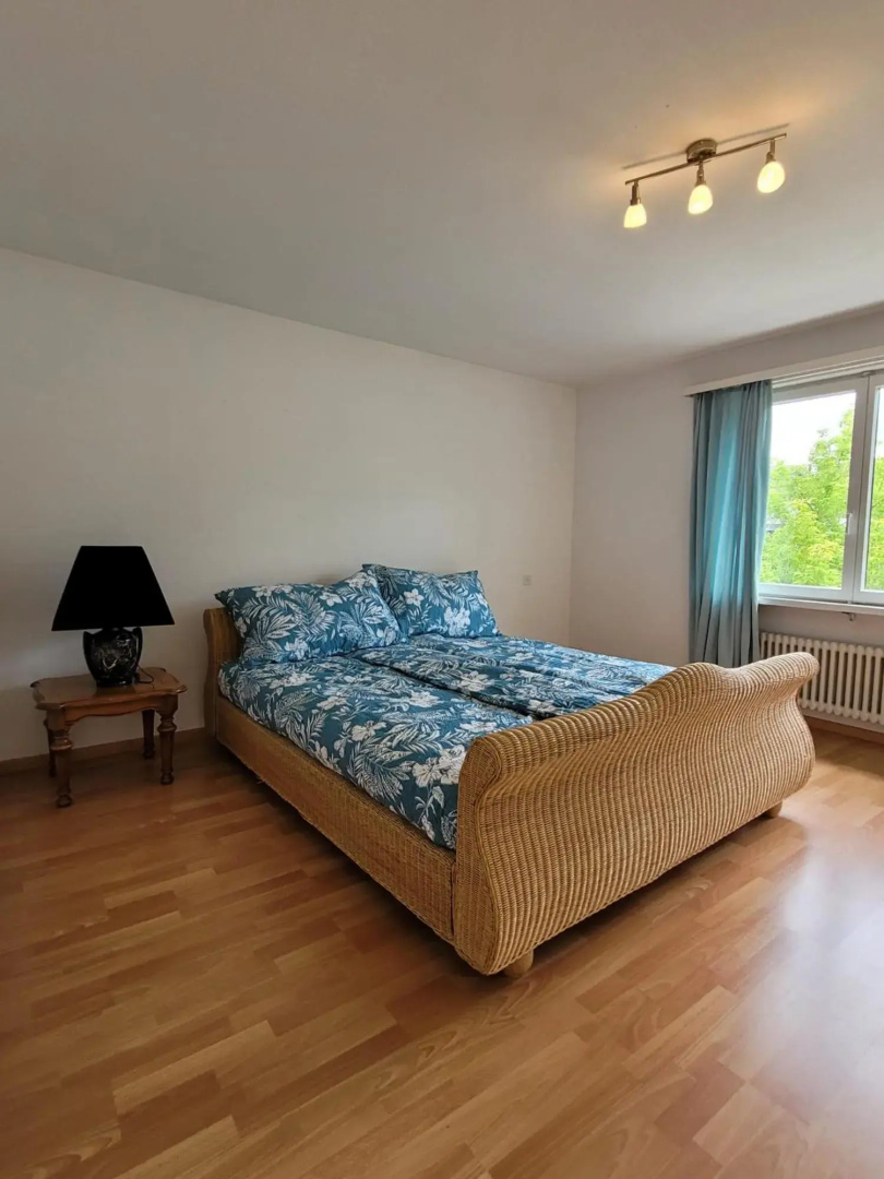 Schöne grosse Attika-Wohnung im Zentrum von Vaduz inkl. Parkplatz
