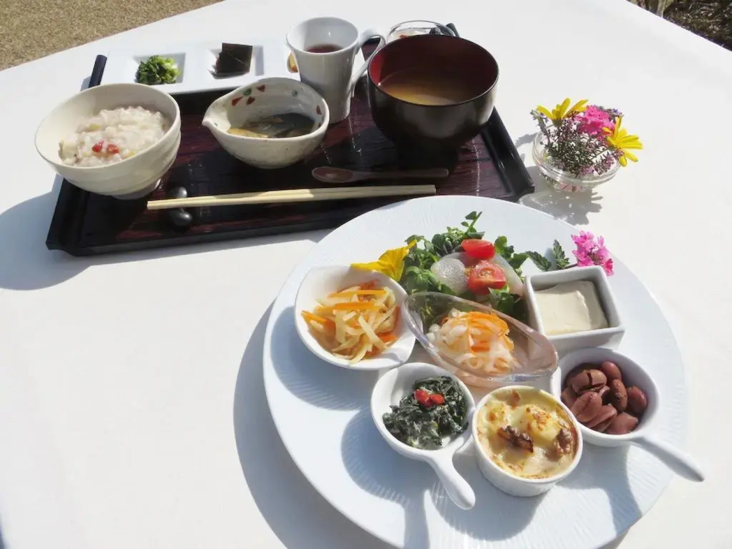 Hotel Holistic Resort