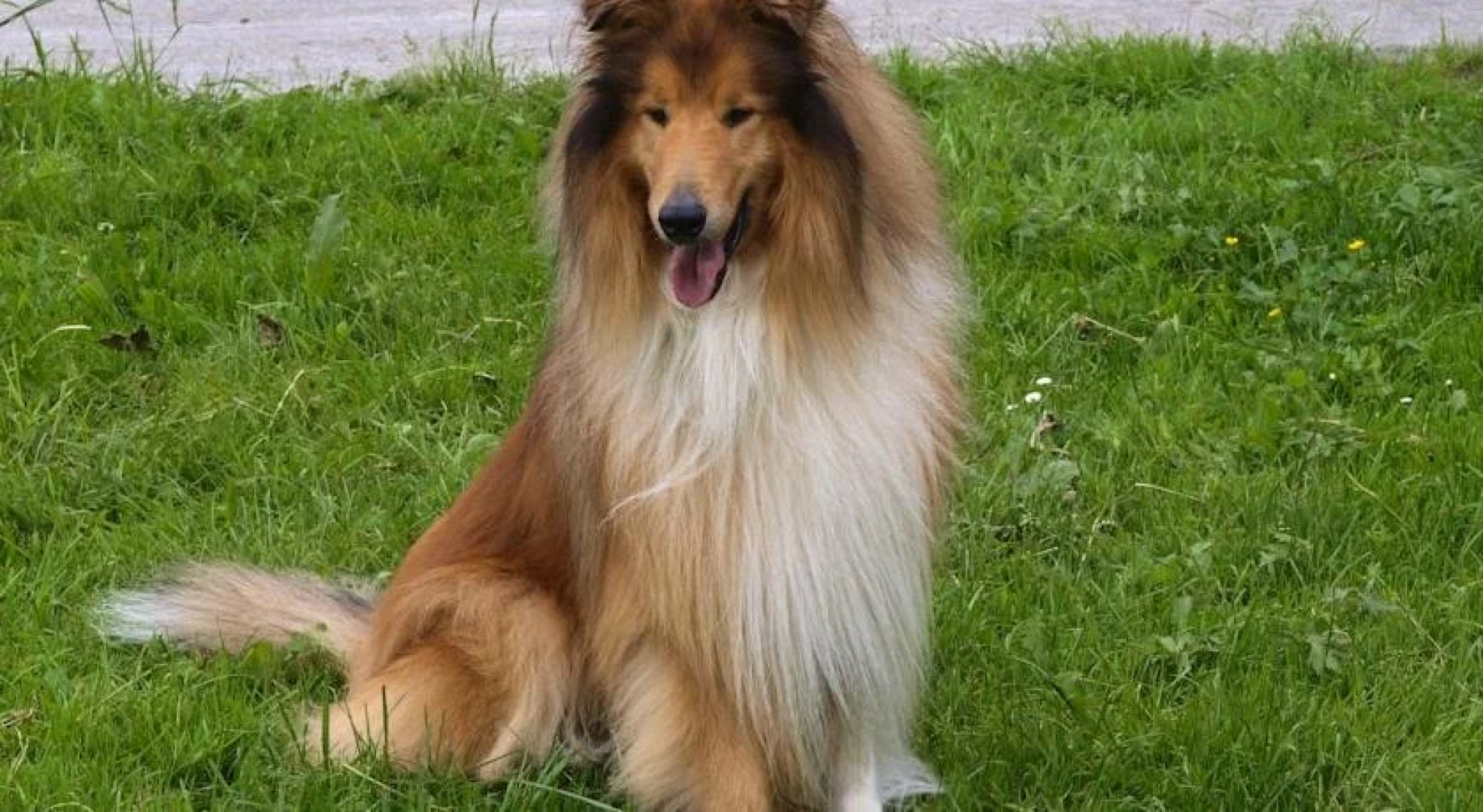 Ferienbauernhof Moosbrugger