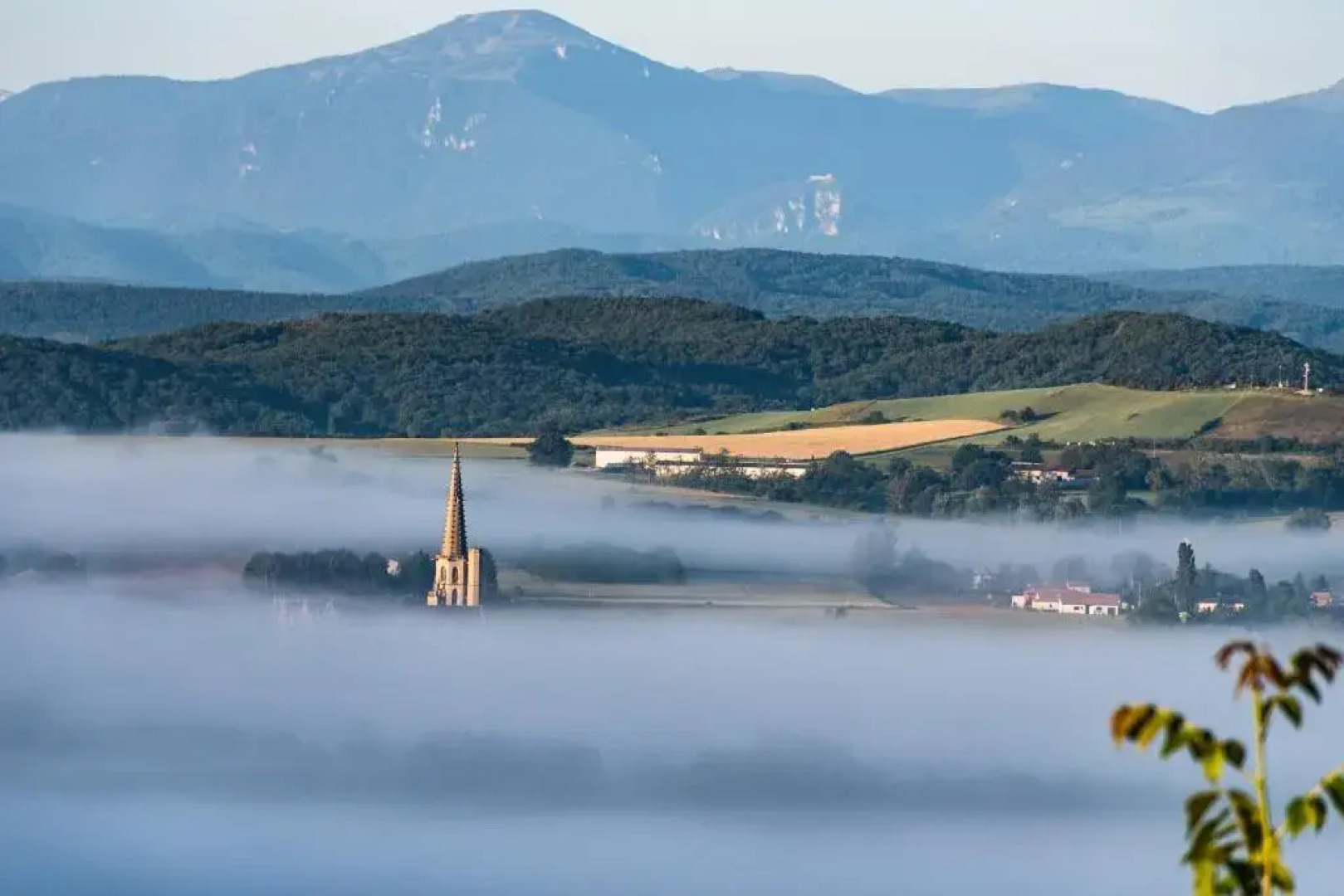 La Maison des Consuls