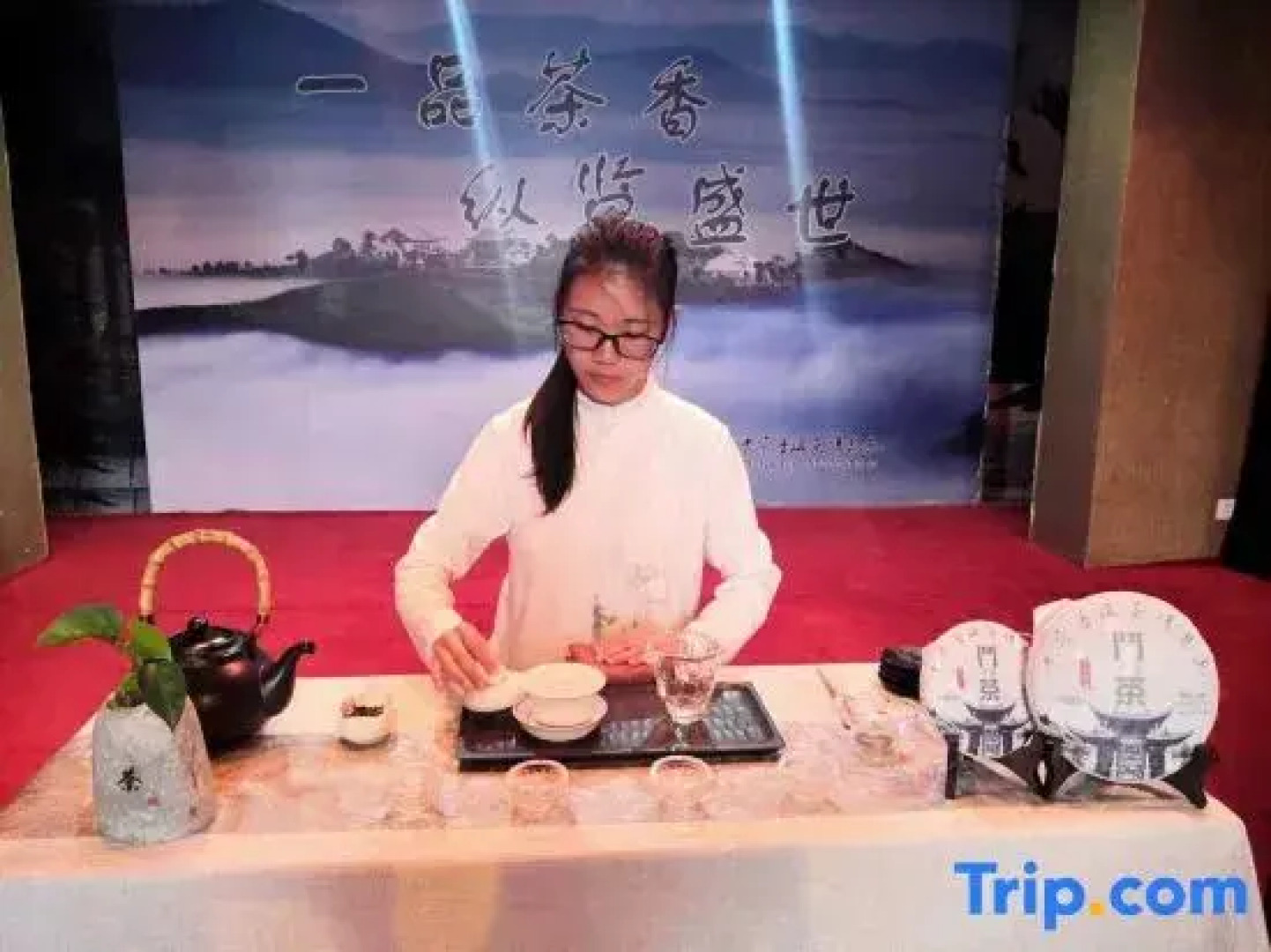 Pu'er Tea Garden Resort Hotel(Pu'er Tea Expo Garden)