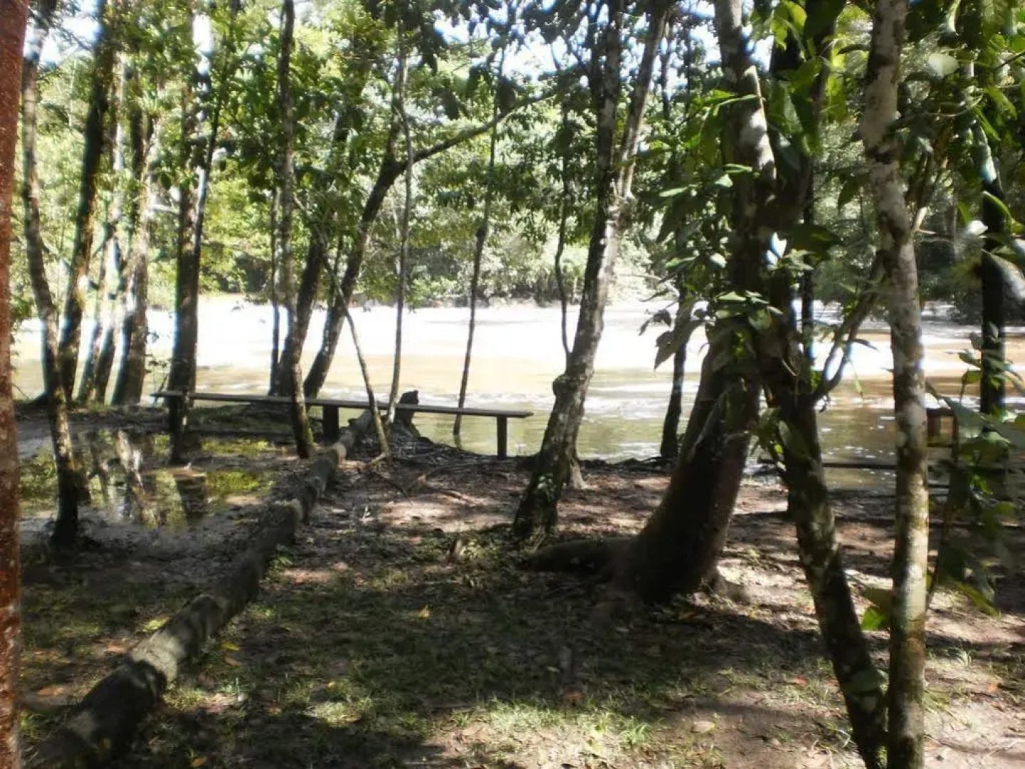 Ecolodge Lacandones - Selva Lacandona