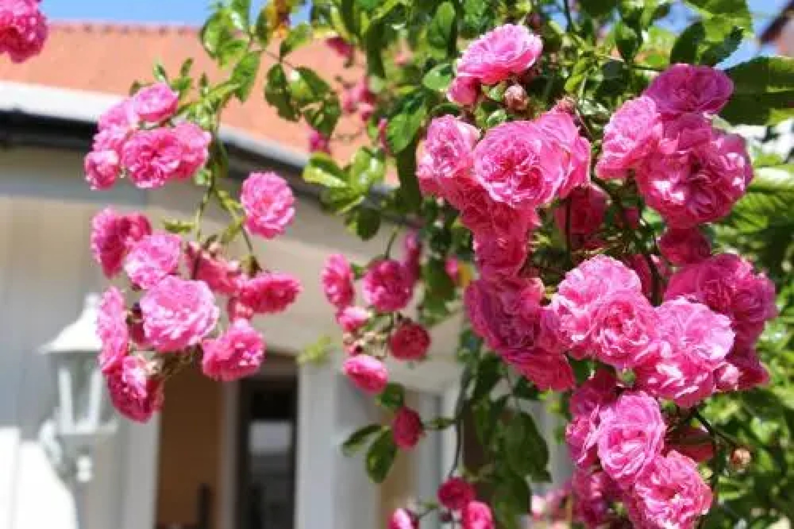 Villa Beddingestrand