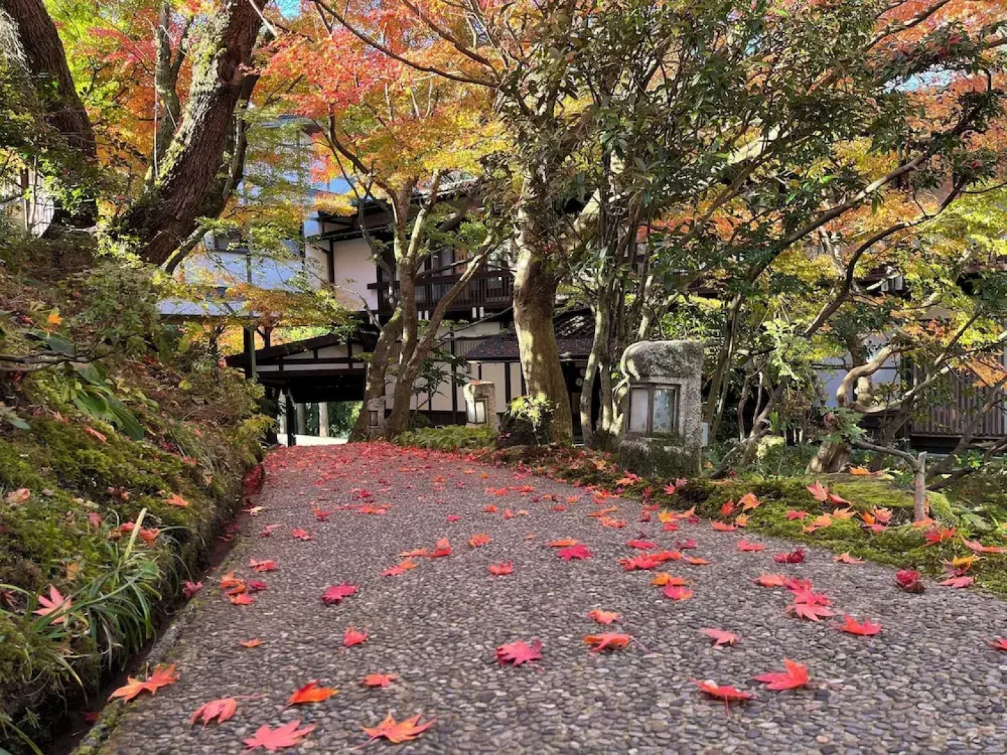 WATAYA