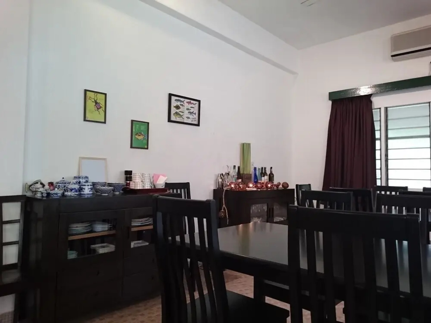 Sea Lion by the Beach