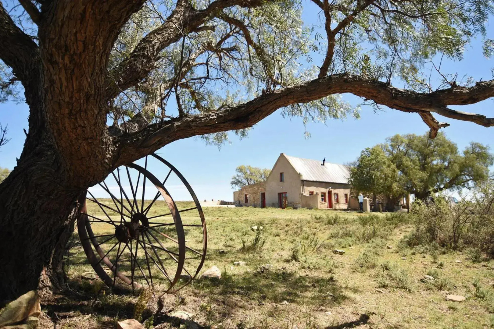 Sneeuberg Nature Reserve