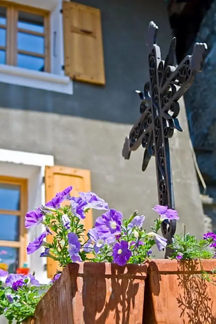Au Cheval Blanc - appartements et chambres d'hôtes