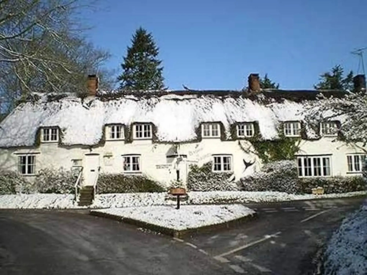 The Brace of Pheasants