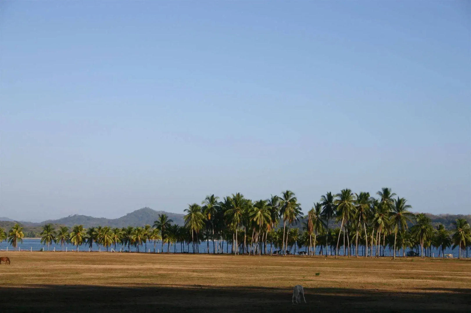 Condo Hotels Samara Heights