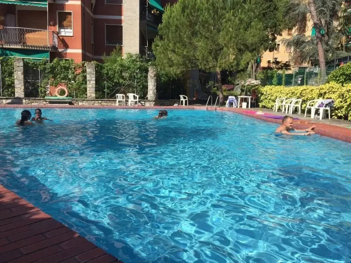 Altido Sardine Felici A Camogli