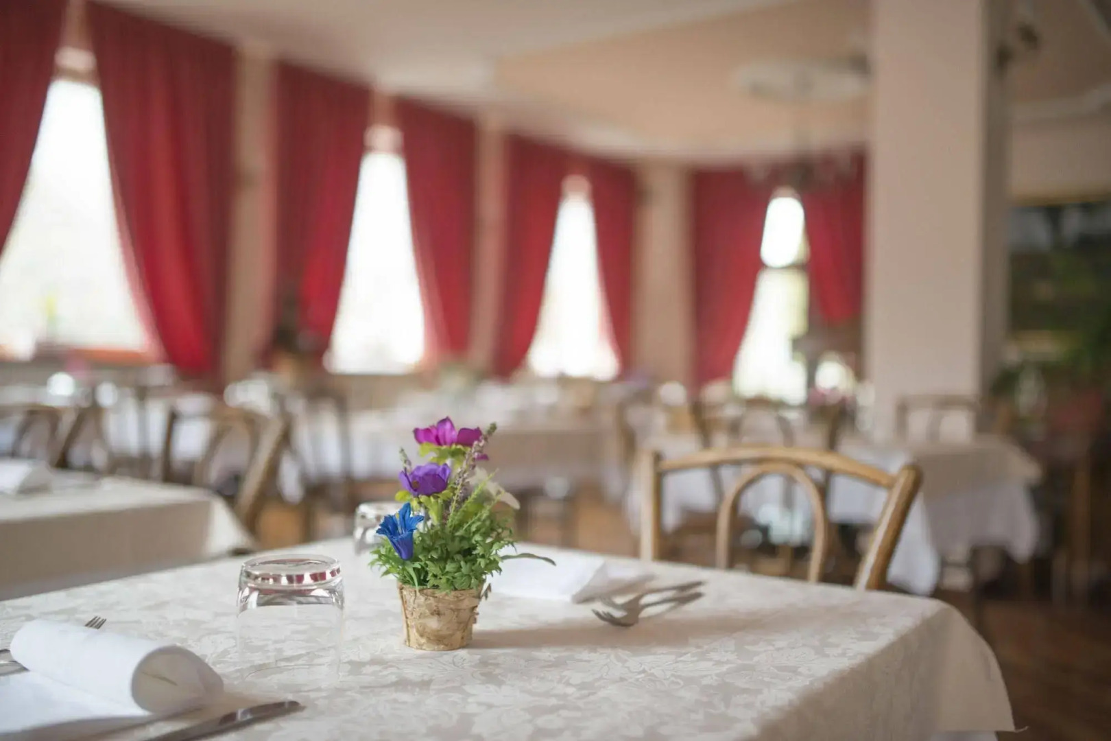 Hotel du Lac Parc & Residence