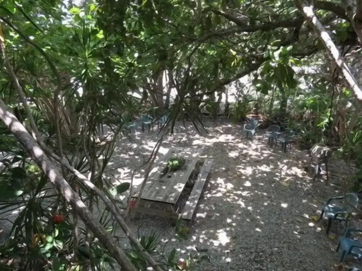 Ed & Ellens Lodging Key largo