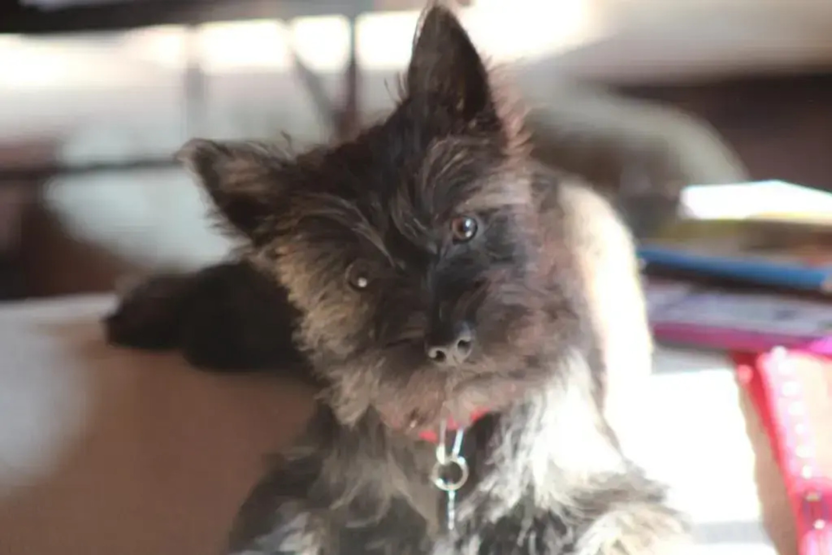 Logis Hôtel Le Glacier