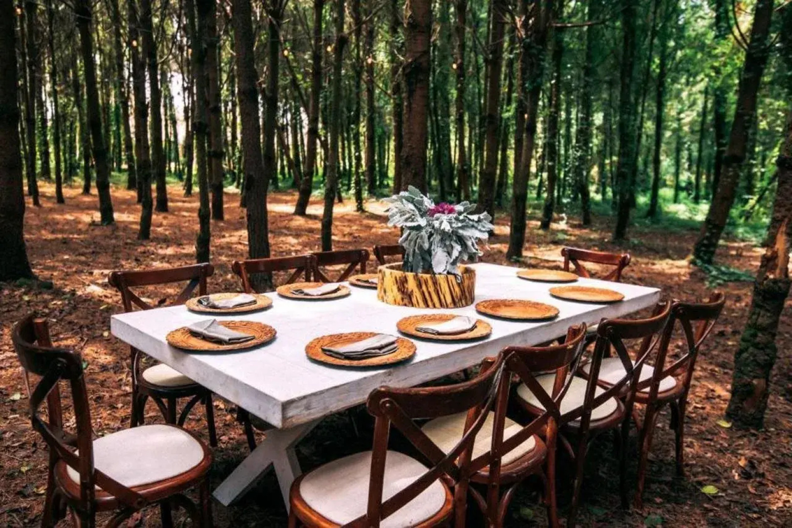 Boscoso Hotel Boutique