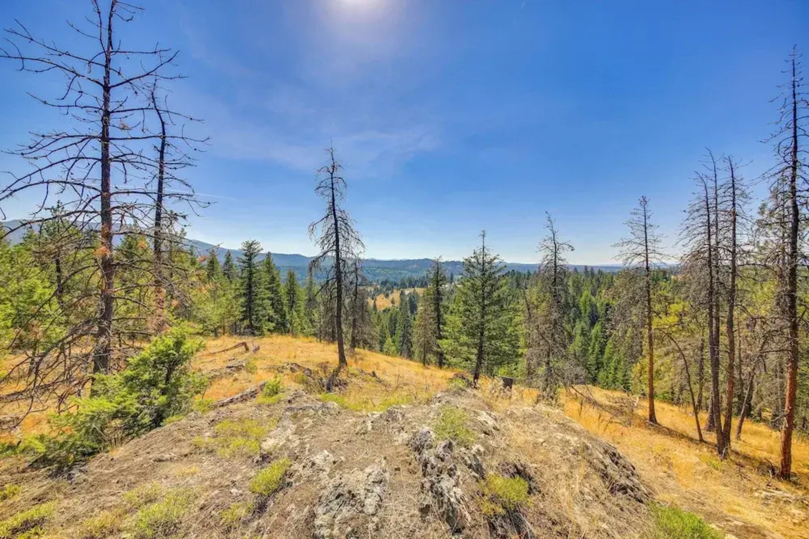 Spacious Priest River Retreat: 35 Mi to Schweitzer