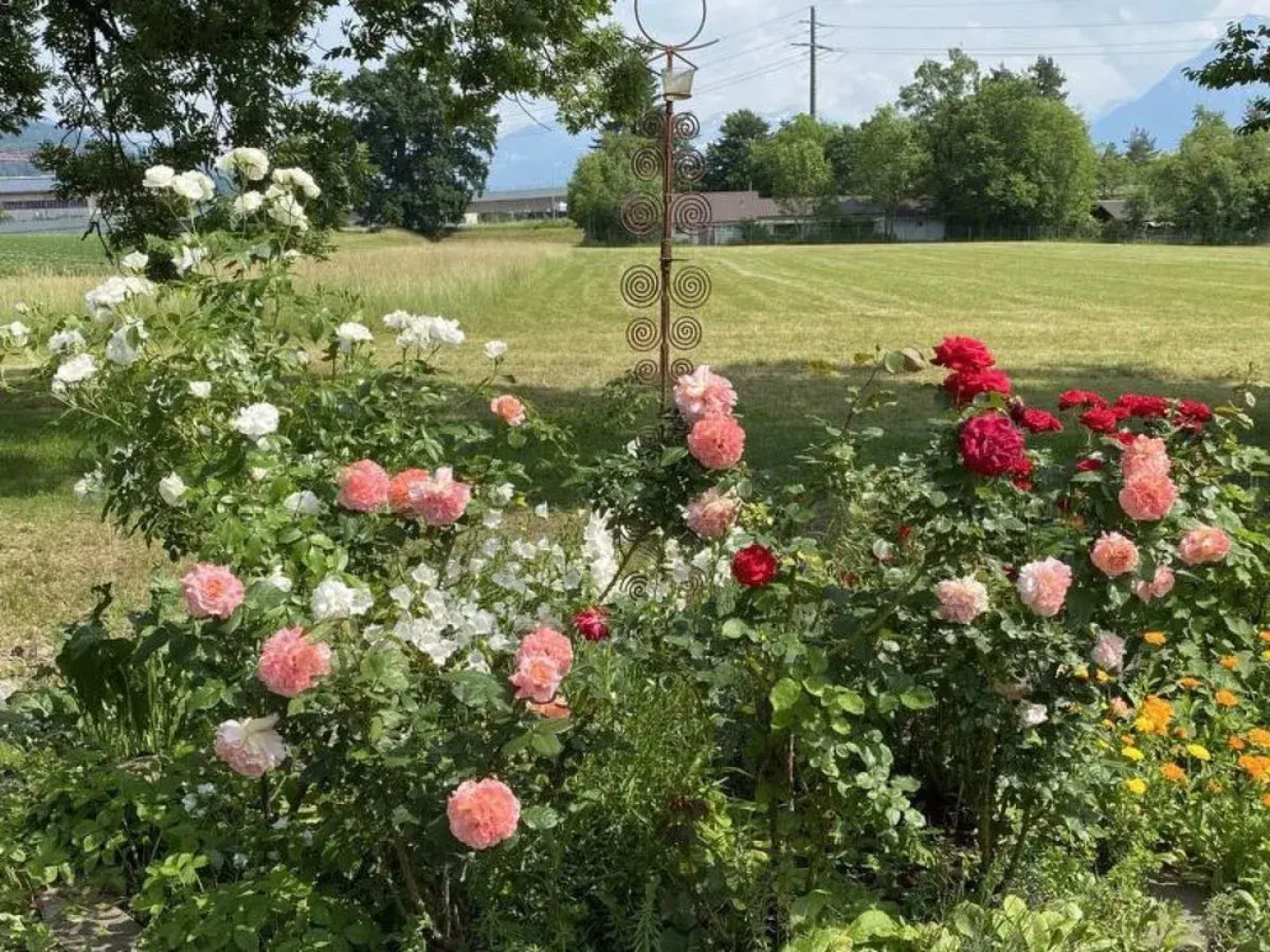 Apartment  Steffisburg