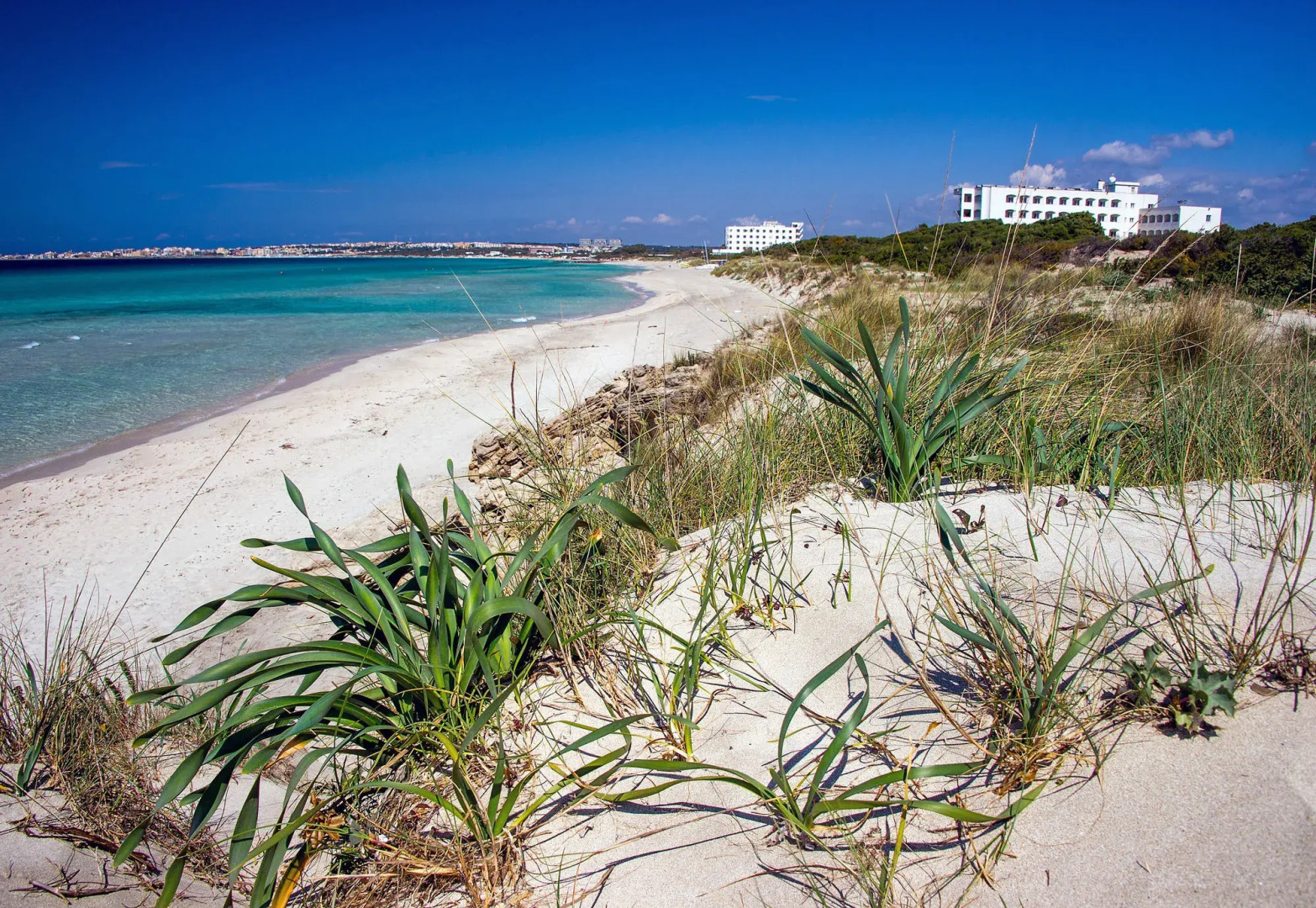 Ecoresort Le Sirenè - Caroli Hotels