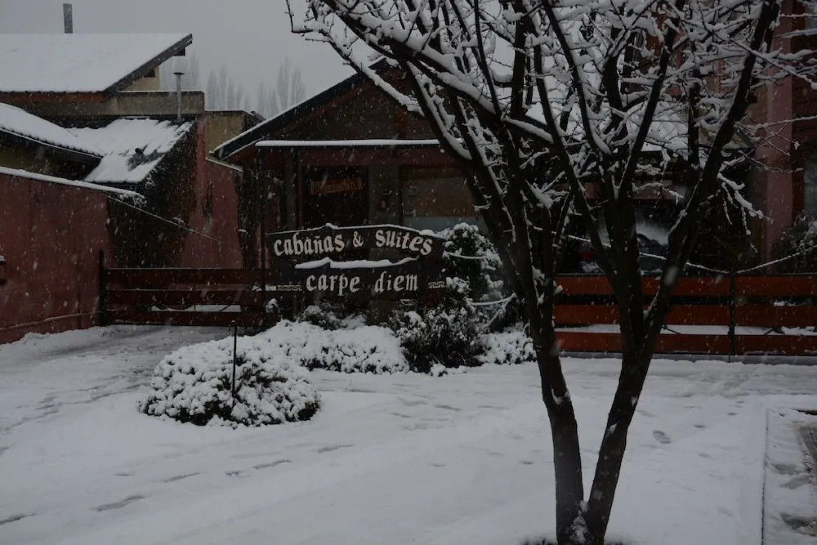 Carpe Diem - Cabañas & Suites