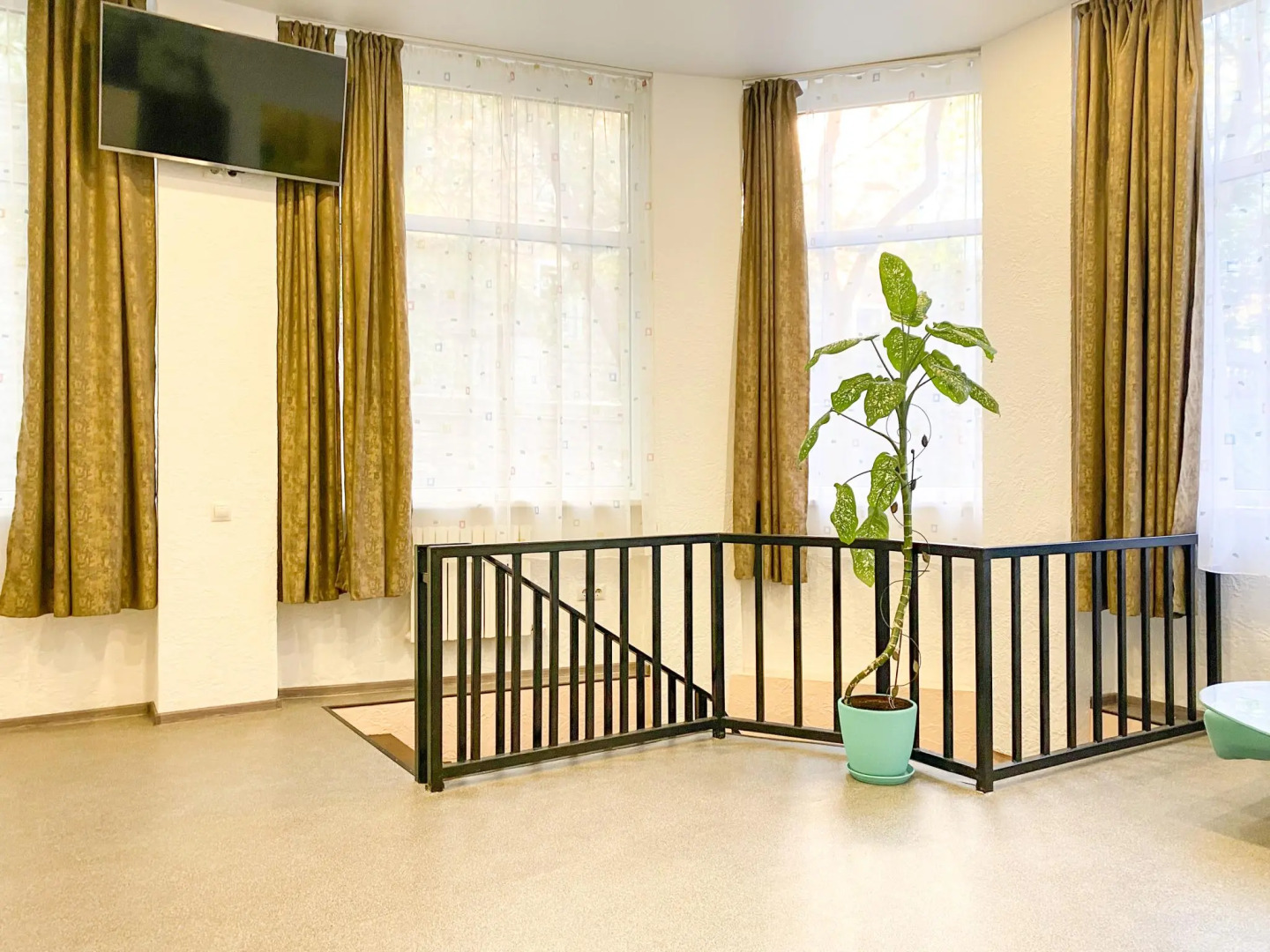 Апартаменты Счастье жить в центре Севастополя на ул. Большая Морская, д.41