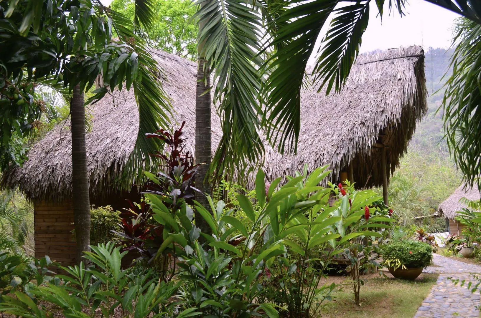 Posadas Ecoturisticas San Rafael