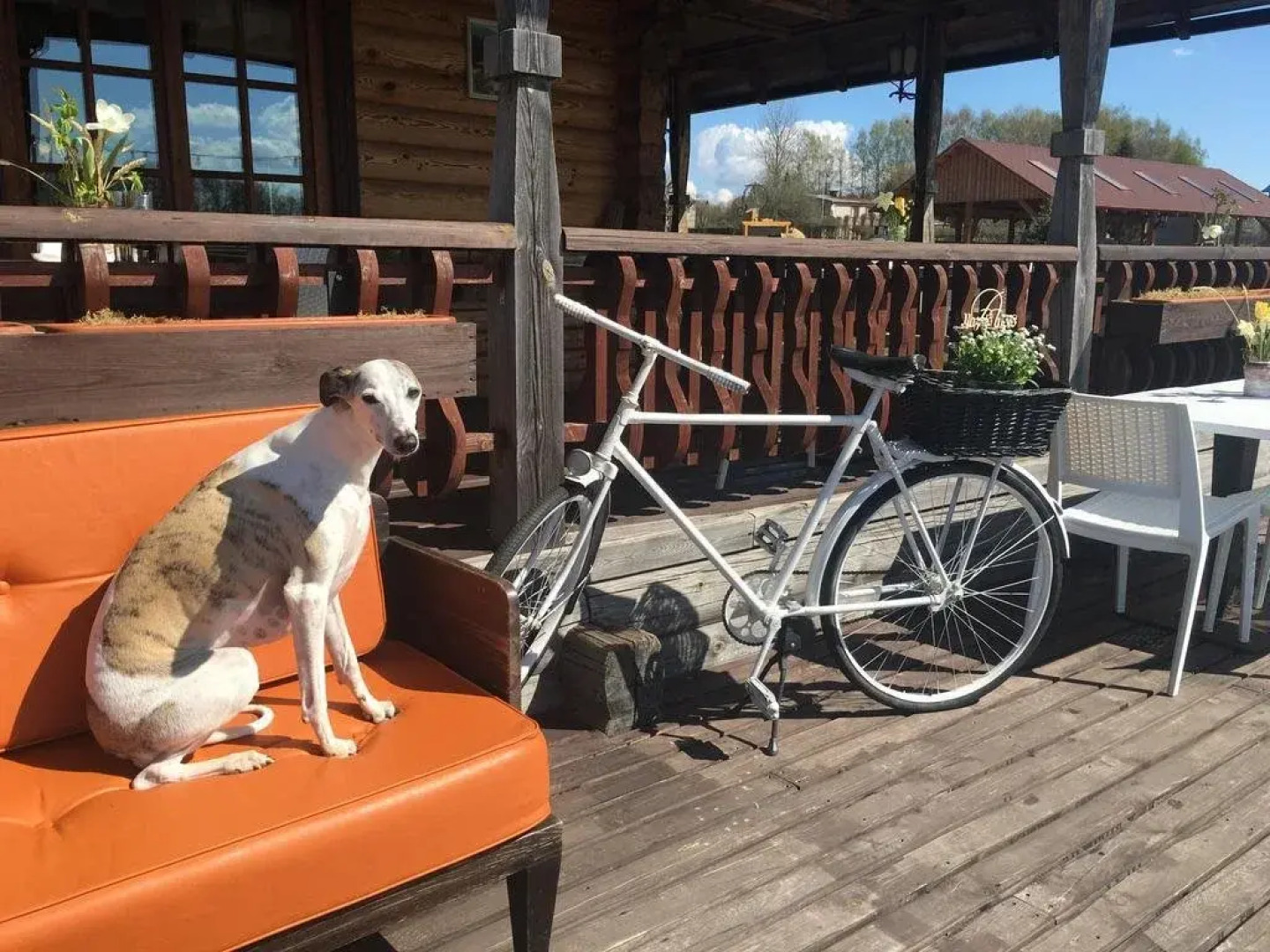 Guest House Mazais Ansis