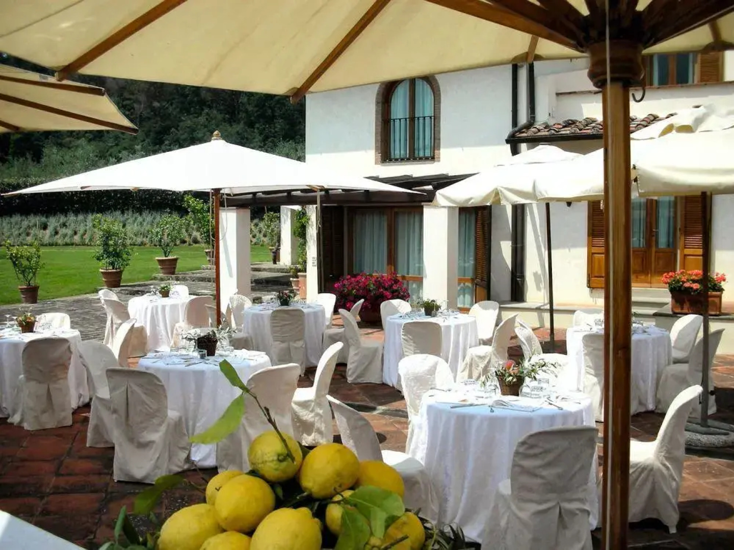 Tenuta le Viiste