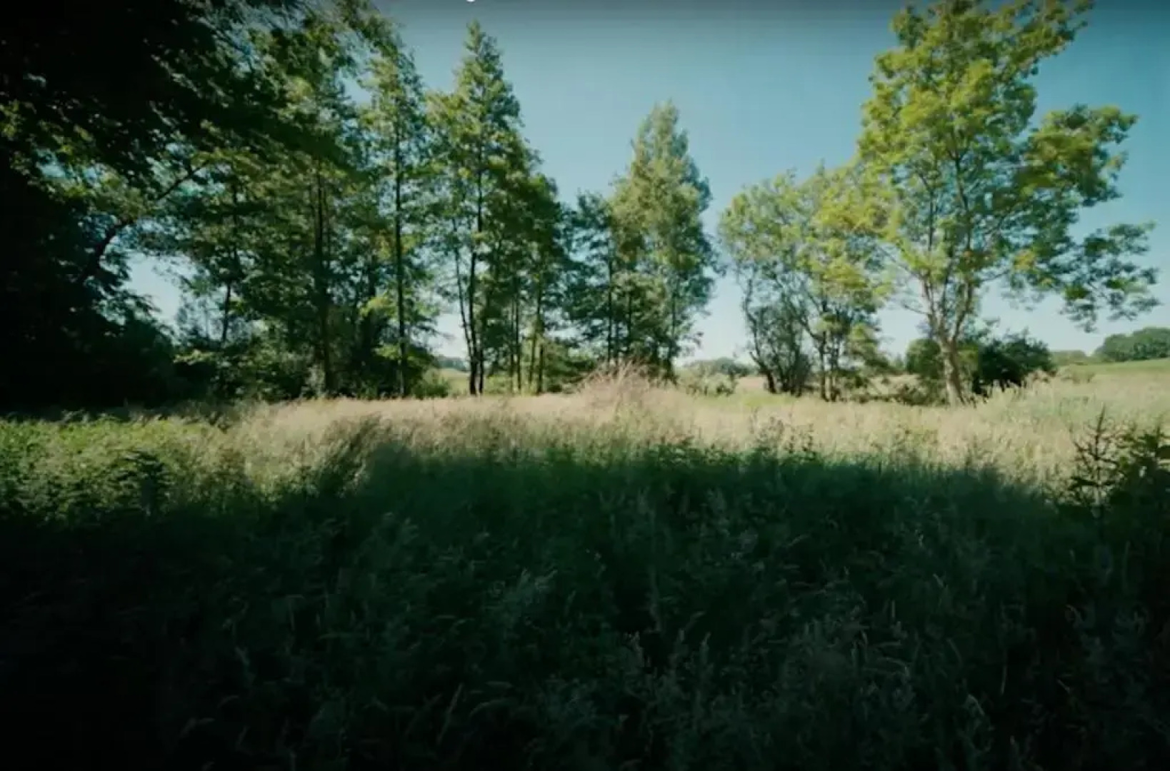 Wassermühle Stenten