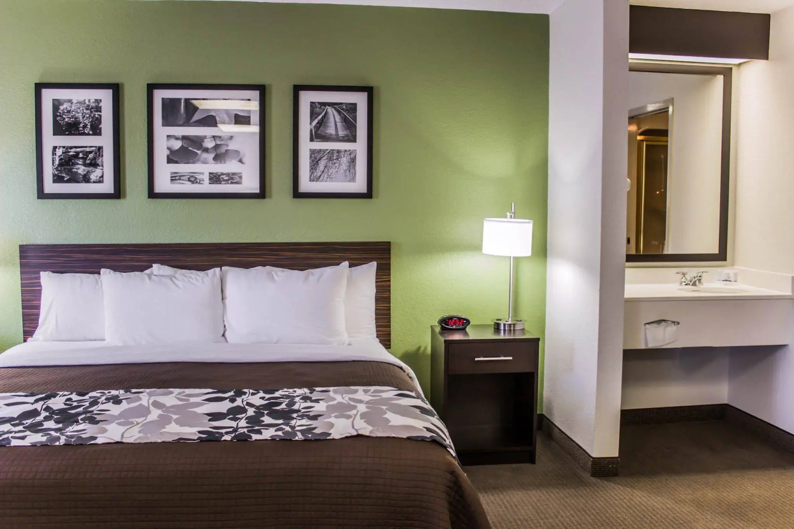 Sleep Inn Fayetteville I-95