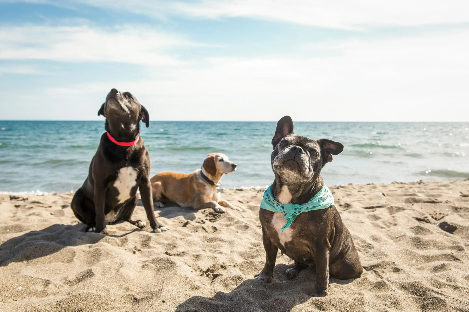 Gitavillage Club Degli Amici