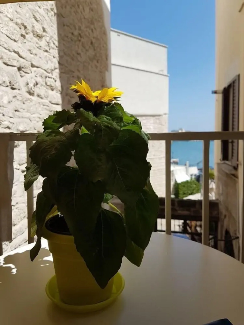 La Banchina Holiday Rooms