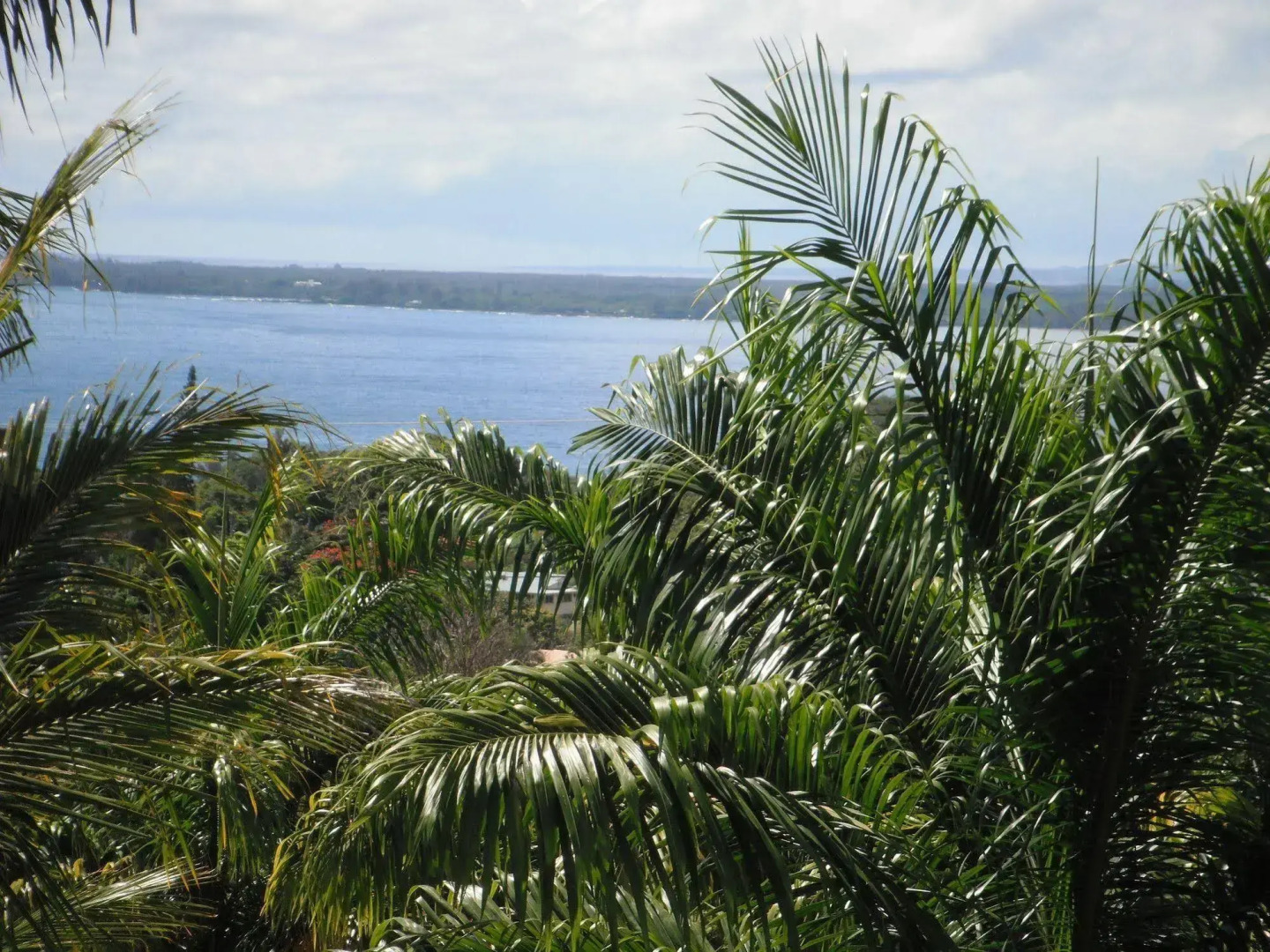 Island Goode's - Luxury Adults Only Accommodation