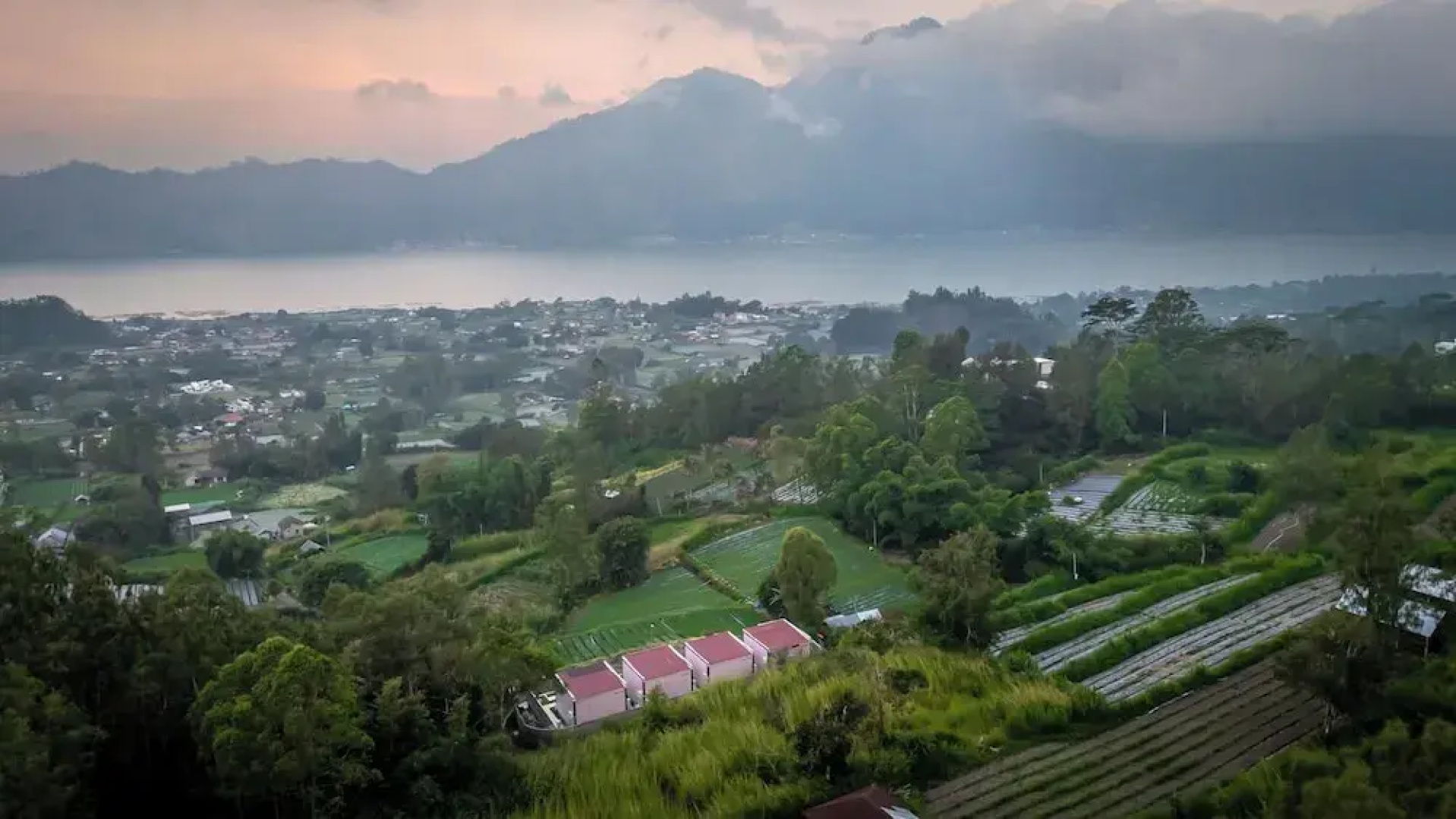 The Jungle Sunrise