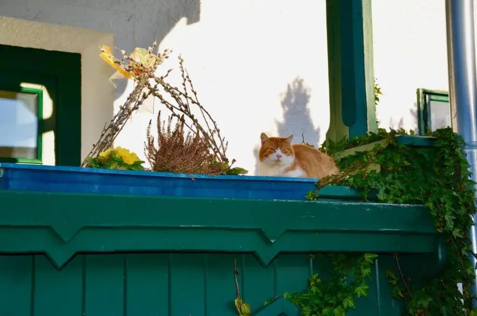 Ferienwohnung Vonwald