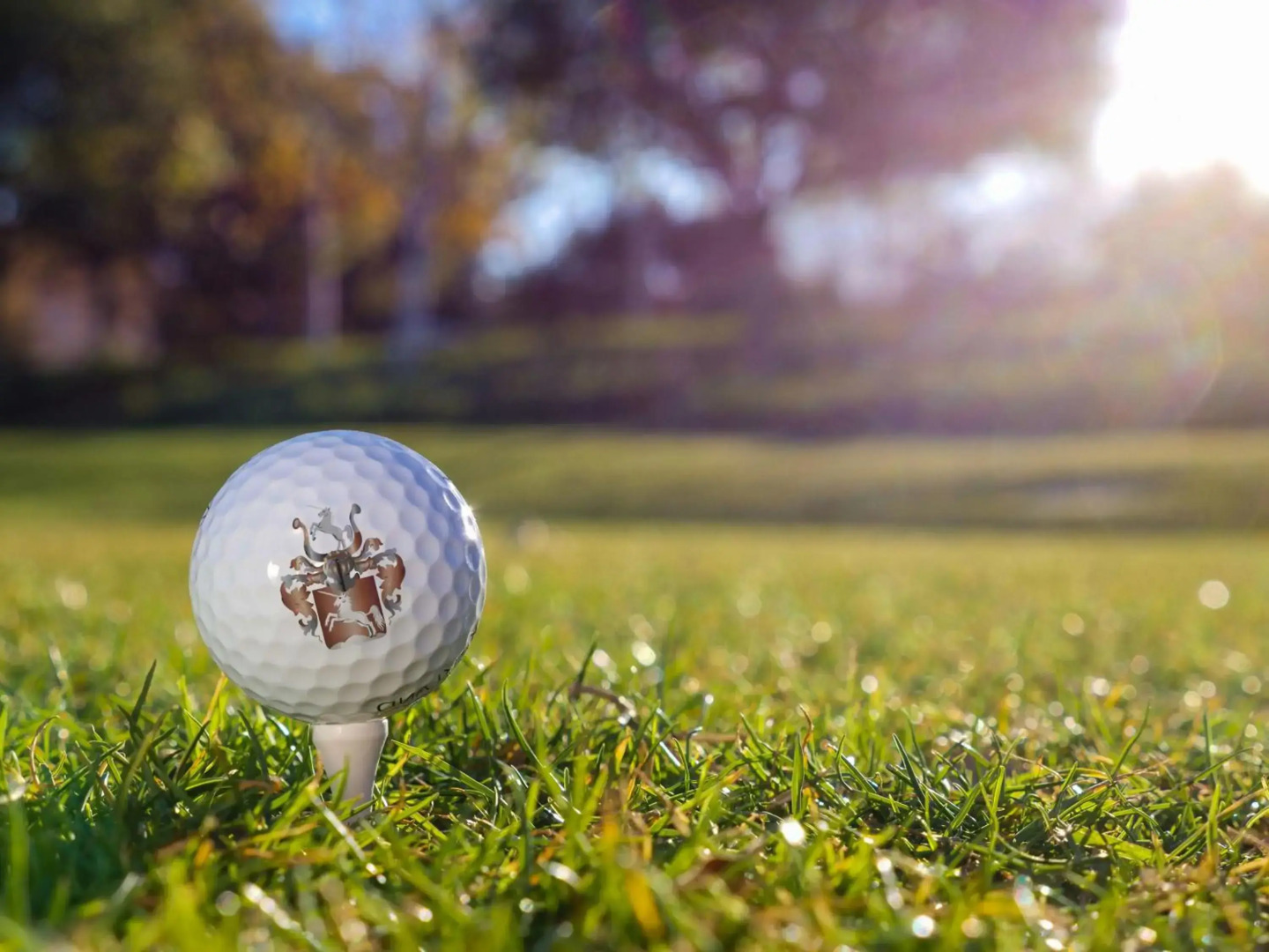 Gutshofhotel Winkler Bräu