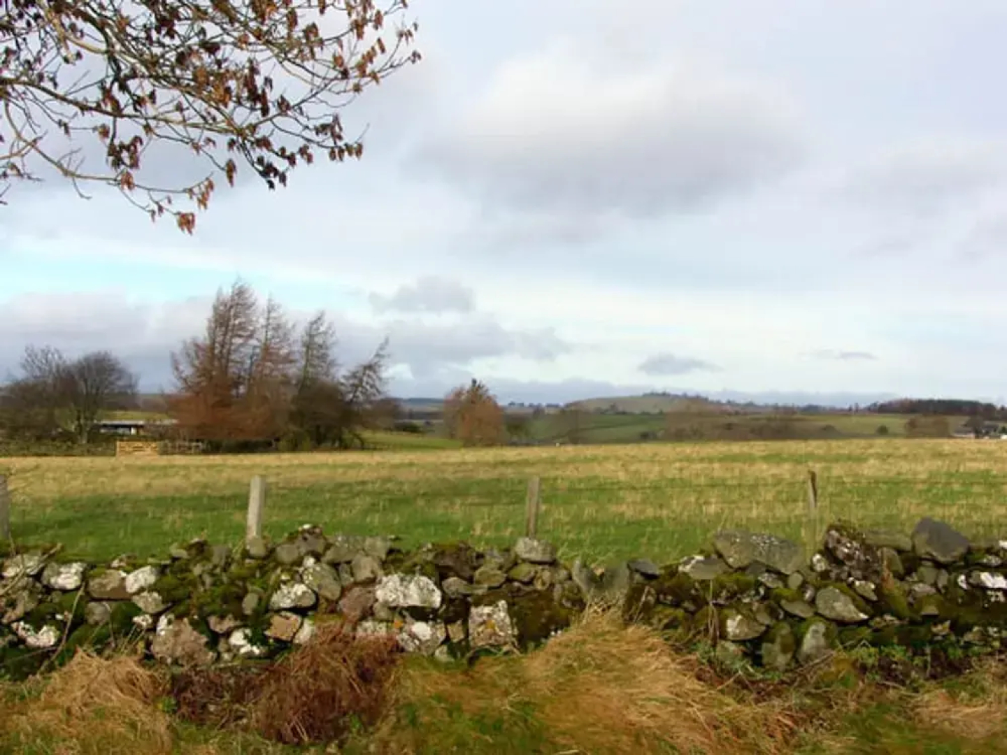 2 Mellfell View