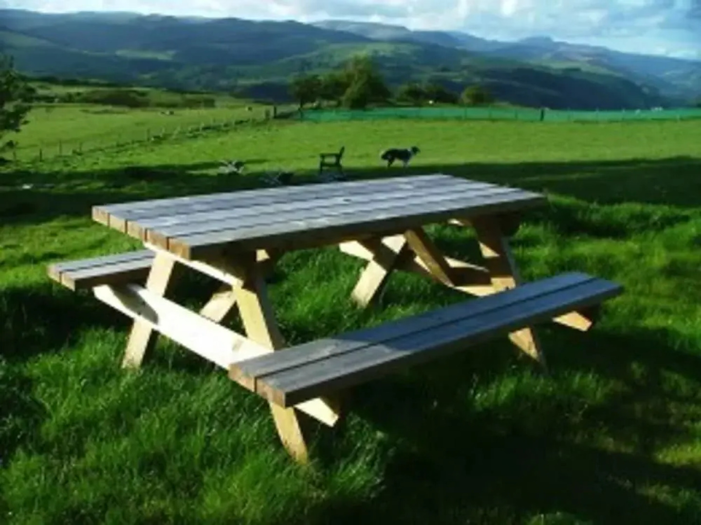 Vintage Safari Caravan