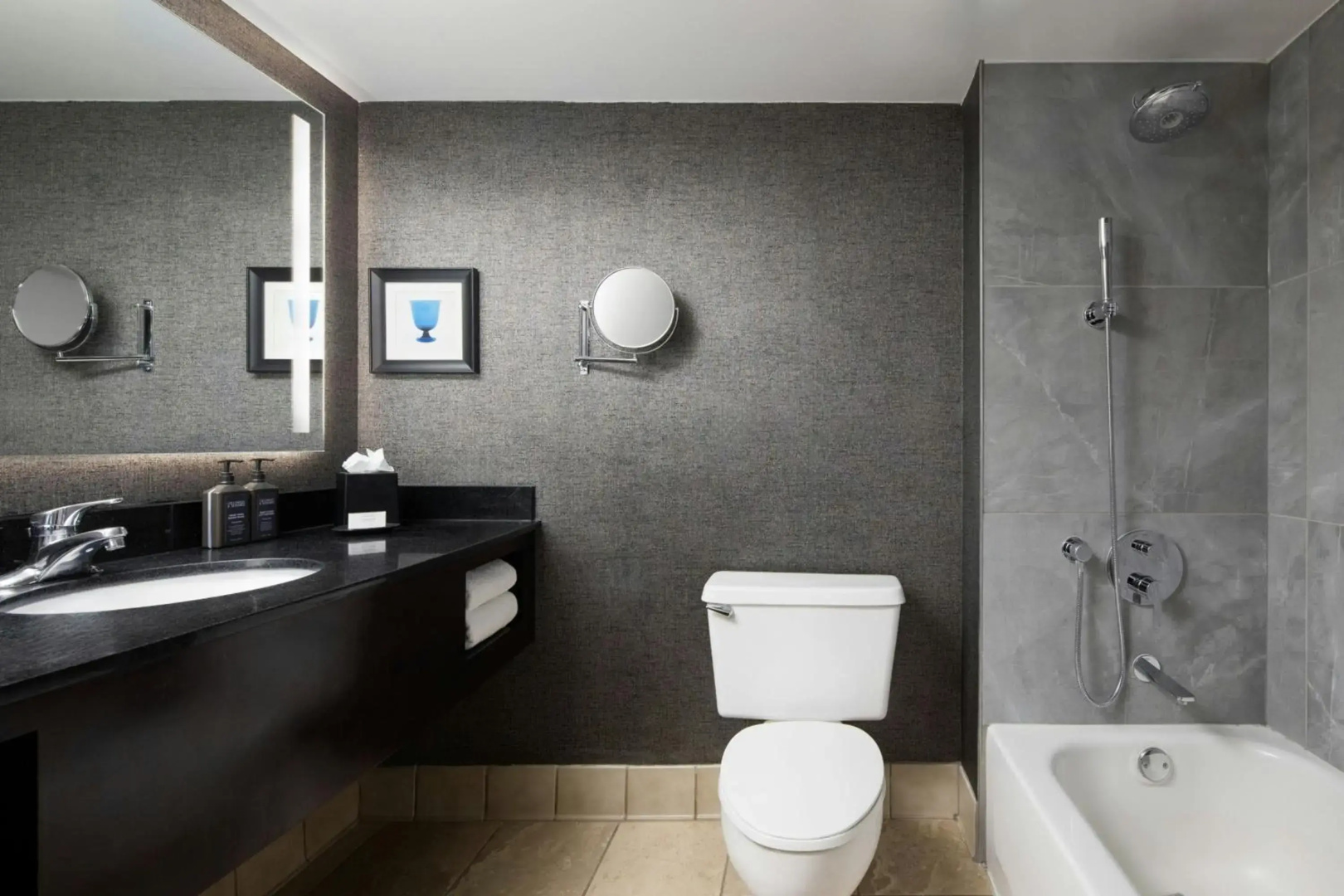 Sheraton DFW Airport Hotel