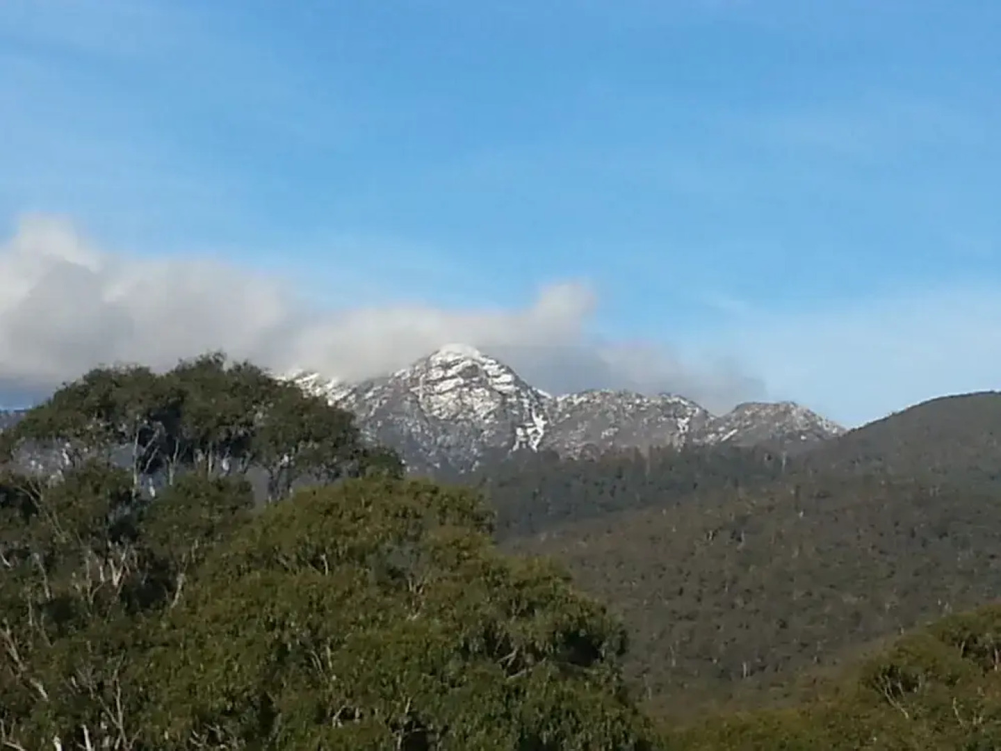 Alpine Stag Lodge House