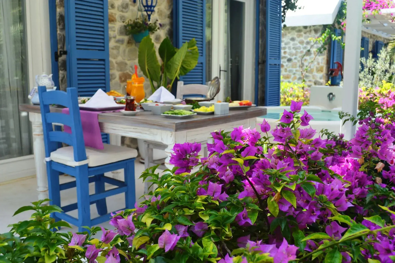 Flamingo Hotel & Spa - Pet Friendly