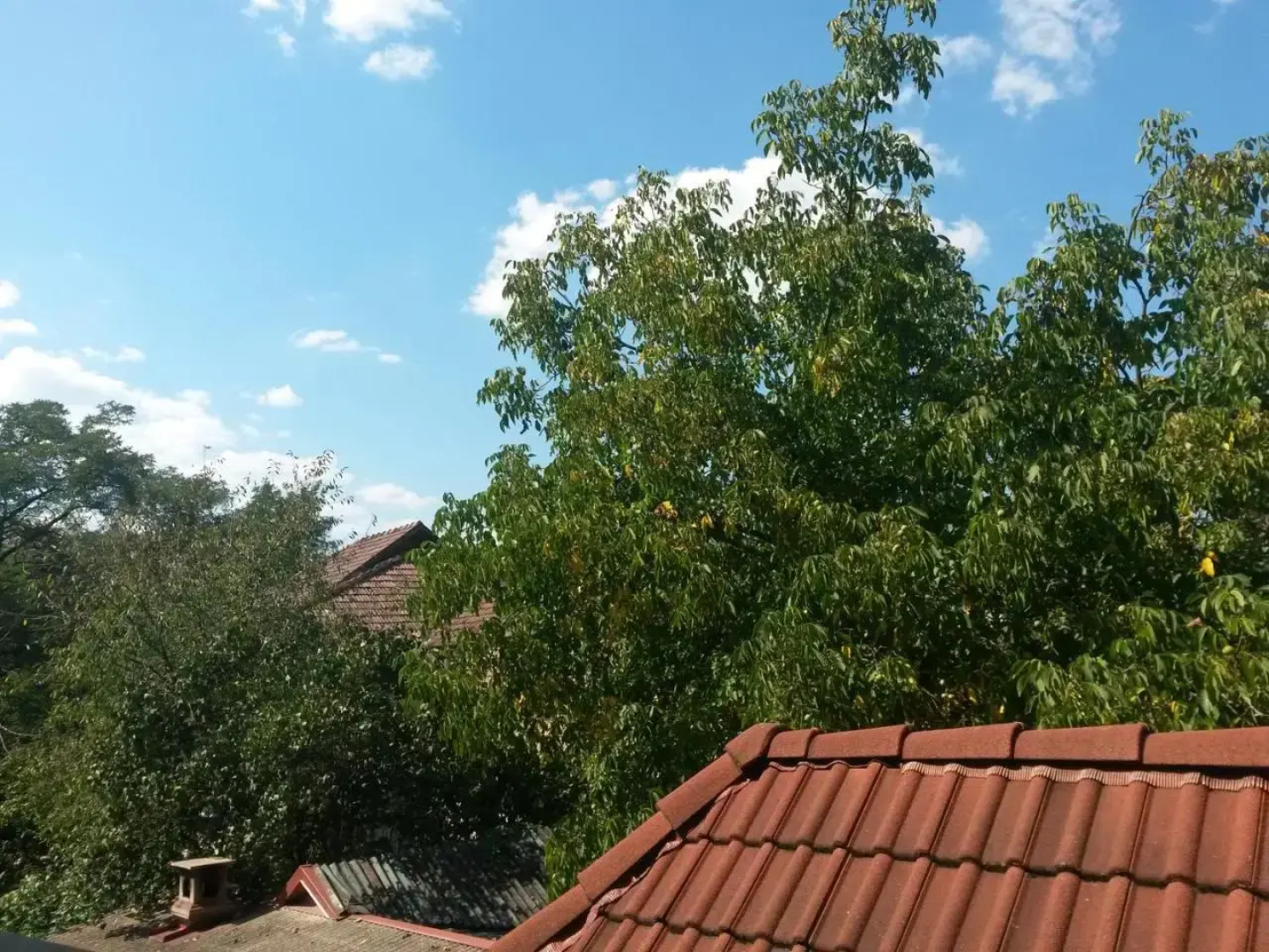 Pensiunea Lőrincz *** Panzió