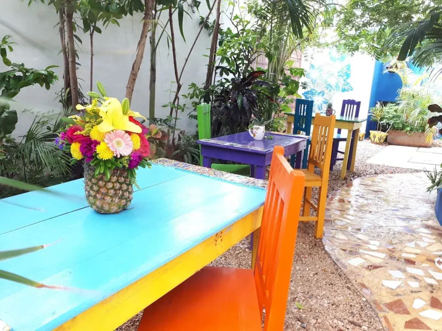 Vainilla B&B Mexico