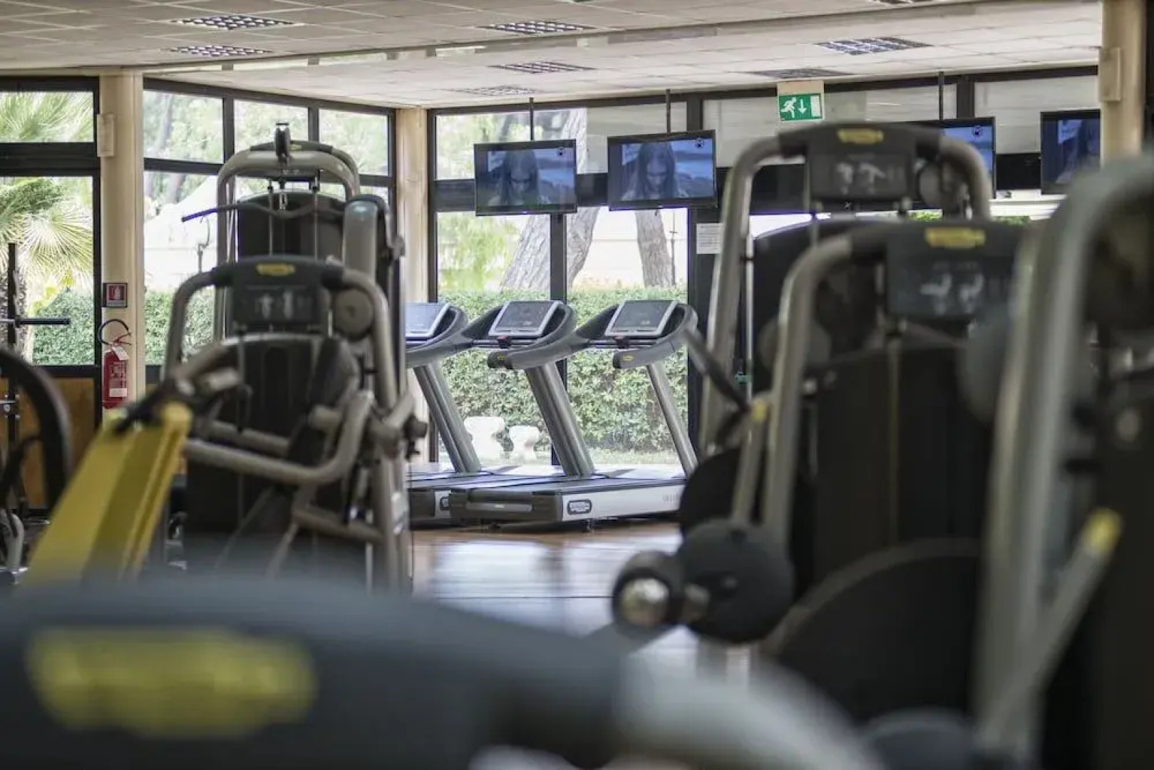 La Pineta dei Liberti