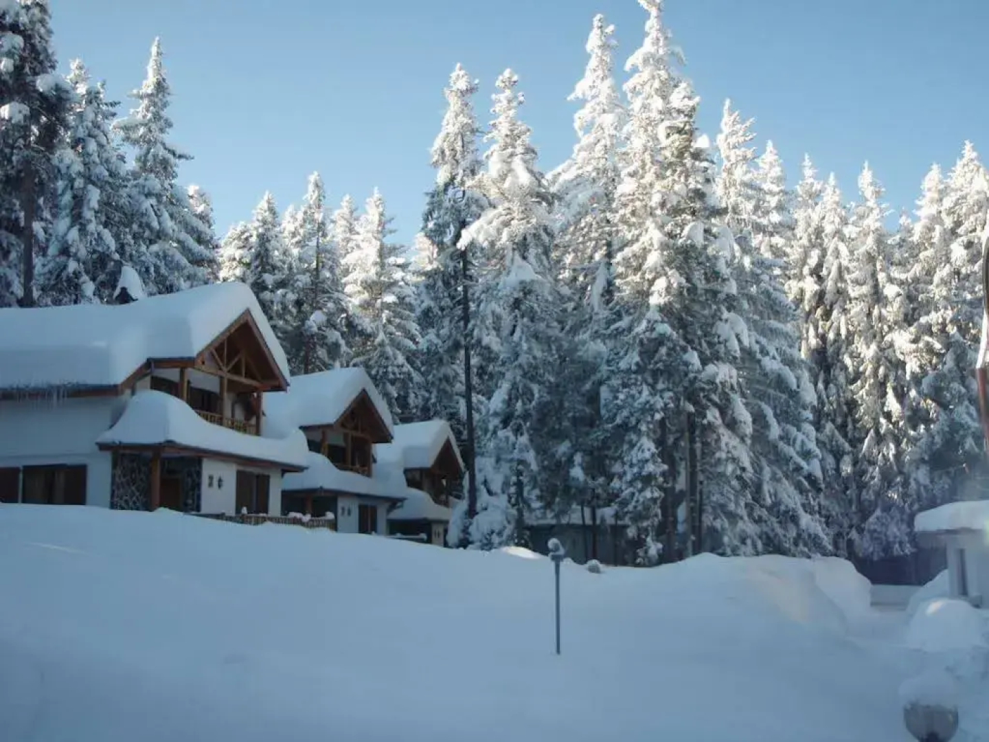 Saint George Borovets Hotel