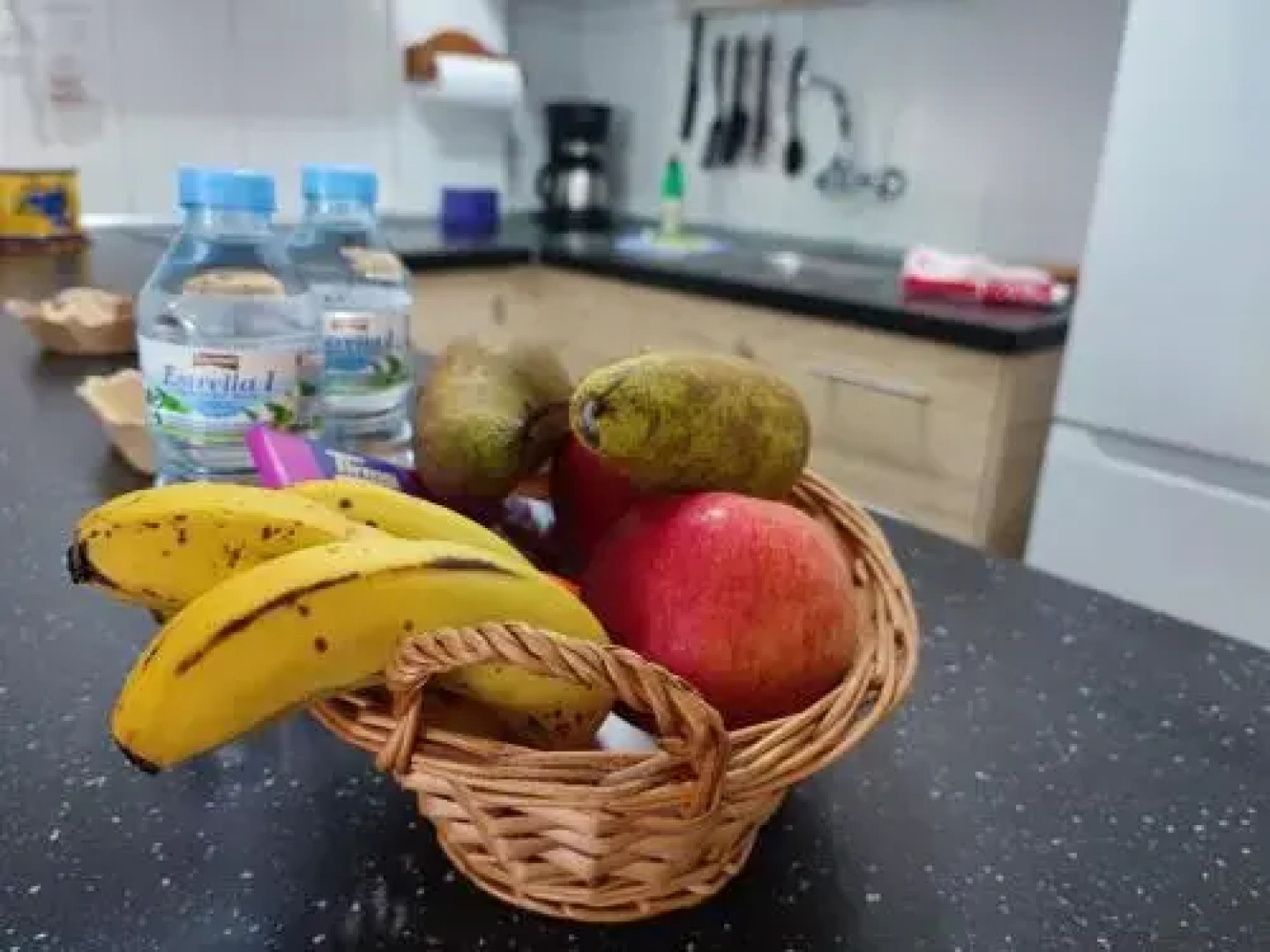 Apartment Severo Ochoa