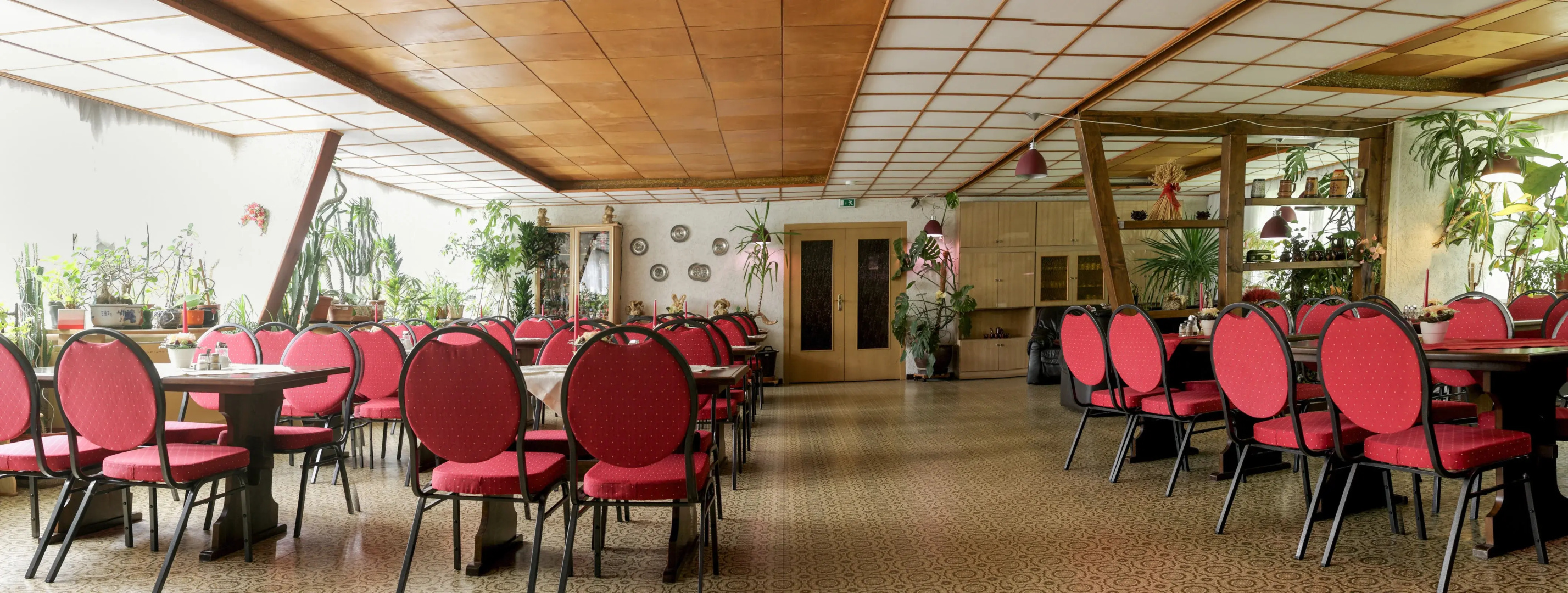 Pension Waldoase Hirschbüchenkopf