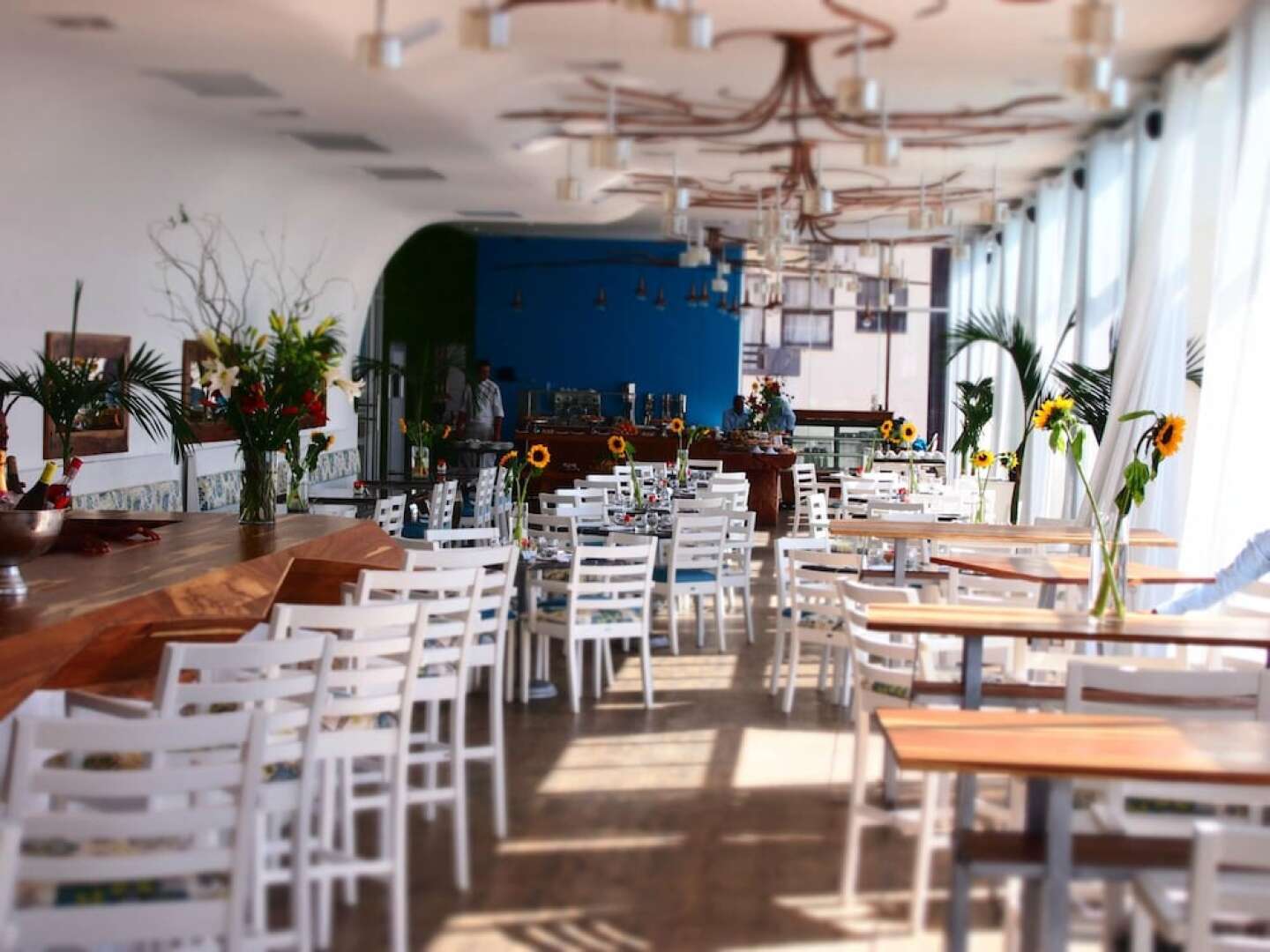 ANEW Hotel & Convention Centre OR Tambo